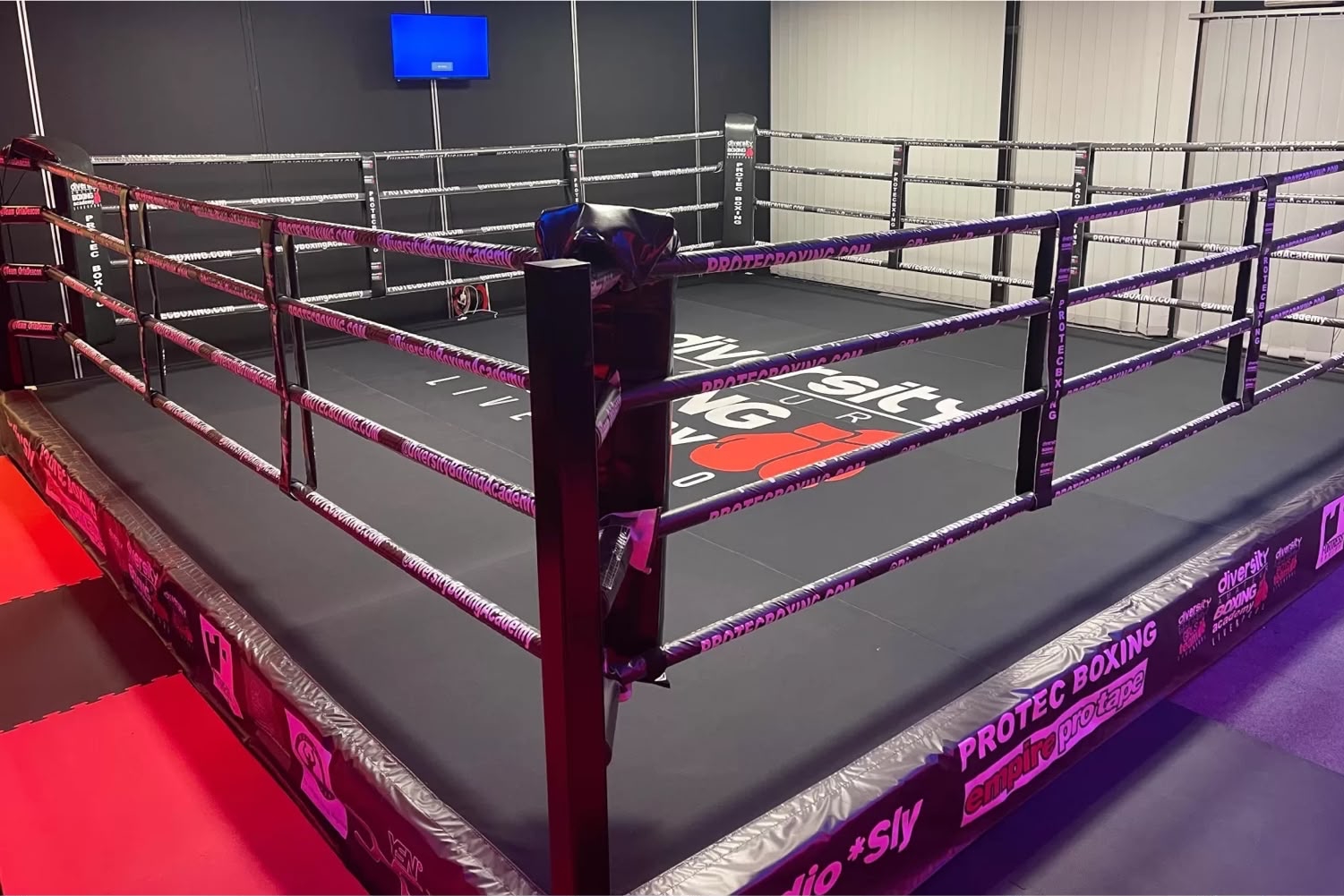 Boxing & MMA Rings